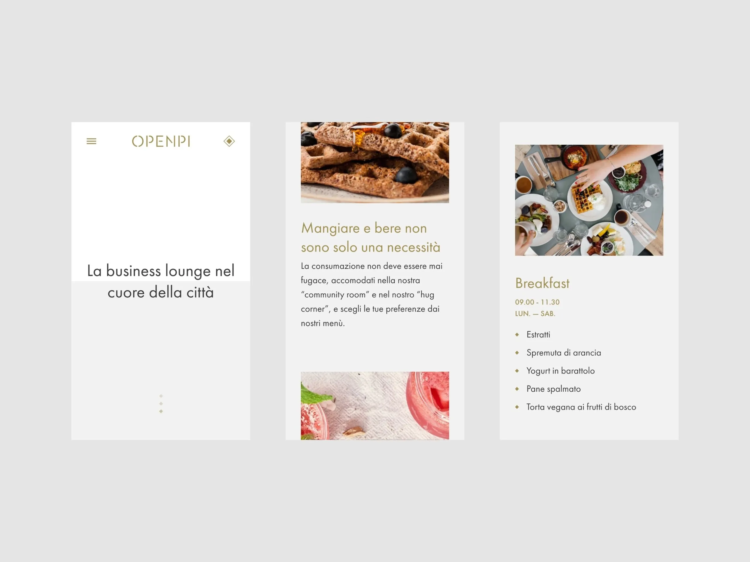 openpi-website-03.Czxtuk8k